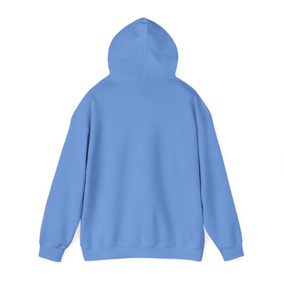 BASEBALL JUNKIE (definition hoodie- light colors)