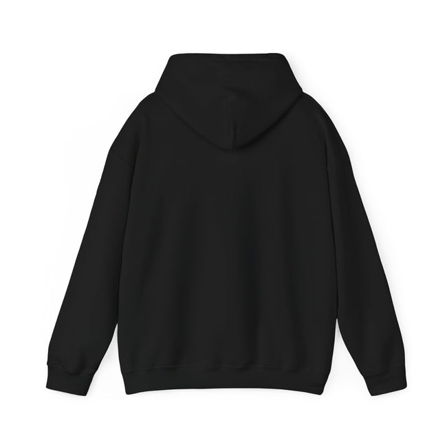 BASEBALL JUNKIE (definition hoodie-dark colors)