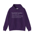BASEBALL JUNKIE (definition hoodie-dark colors)