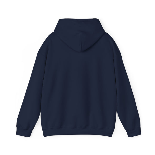 BASEBALL JUNKIE (definition hoodie-dark colors)