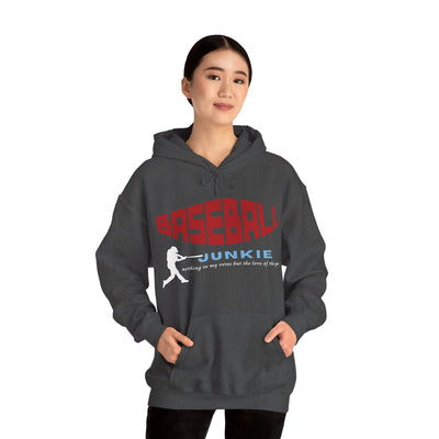 BASEBALL JUNKIE - Unisex Heavy Blend™ Hooded Sweatshirt